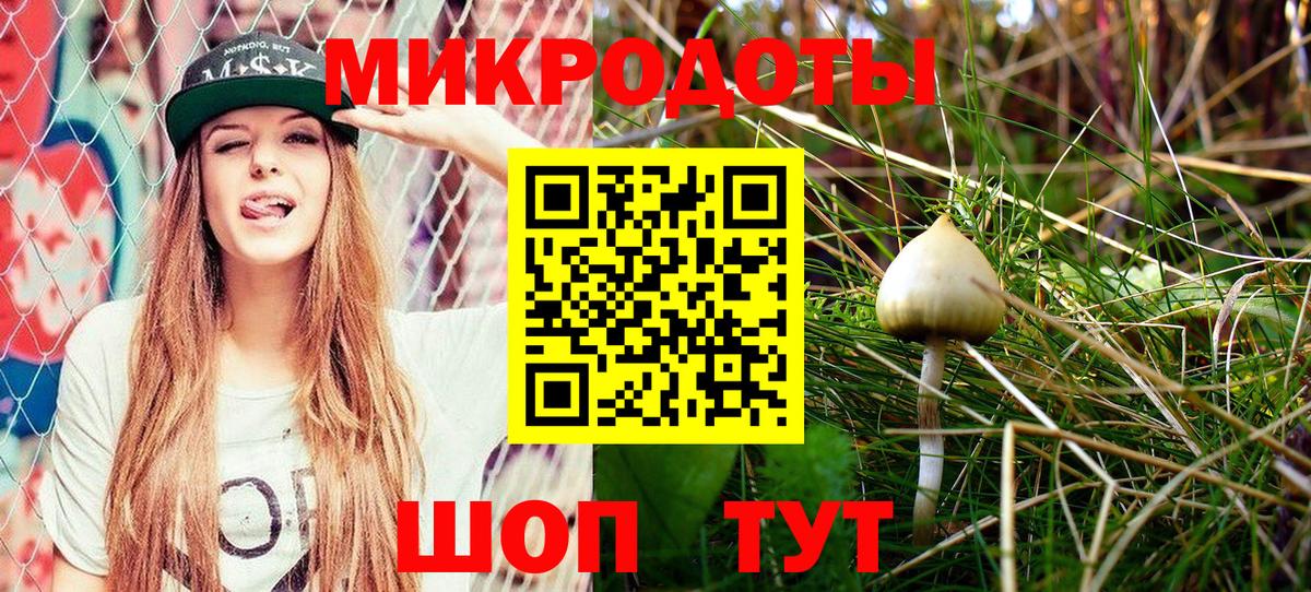 Псилоцибиновые грибы Cubensis  Вход с VPN  Зеленокумск 